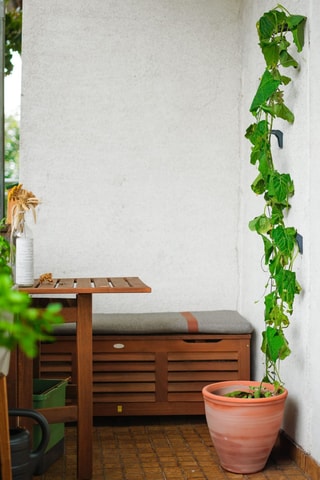 Klimplantenhouder - Komkommer - 1,06 m