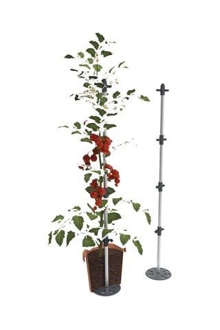 3 Klimplantenhouders - 1,25 m