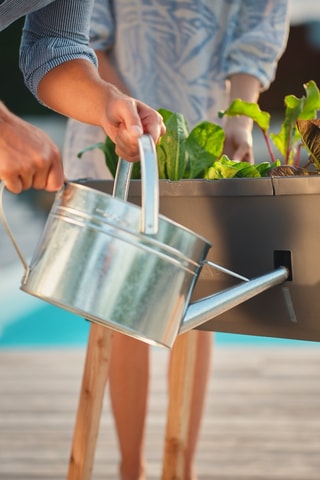 Verhoogde Moestuin - 79 x 37,5 x 75 cm