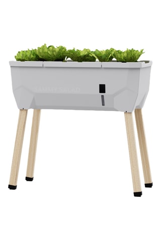 Verhoogde Moestuin - 79 x 37,5 x 75 cm