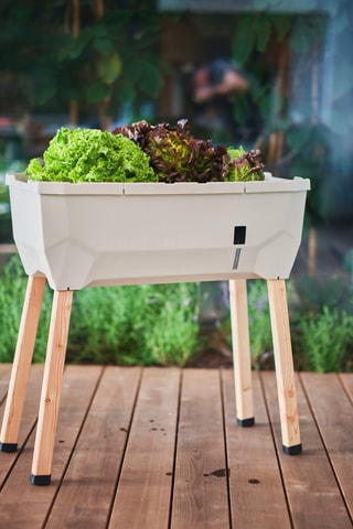 Verhoogde Moestuin - 79 x 37,5 x 75 cm