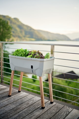 Verhoogde Moestuin - 79 x 37,5 x 75 cm