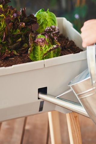 Verhoogde Moestuin - 79 x 37,5 x 75 cm