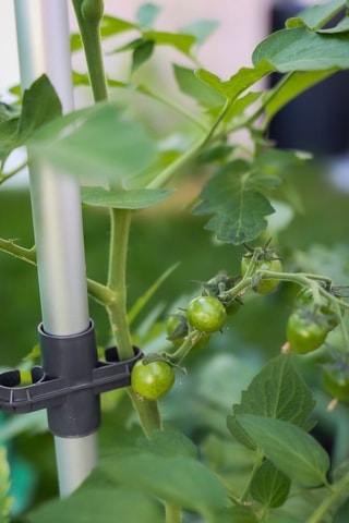 Klimplantenhouder - 1,25 m