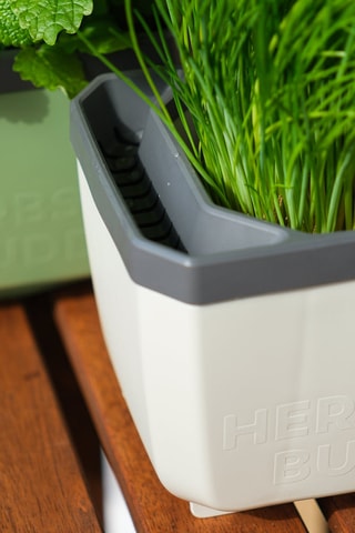 Set Zaaigoed - Aromatische Kruiden