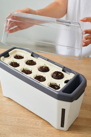 Set Zaaigoed - Aromatische Kruiden