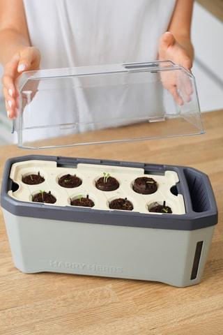 Set Zaaigoed - Aromatische Kruiden