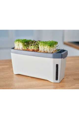 Set Zaaigoed - Aromatische Kruiden