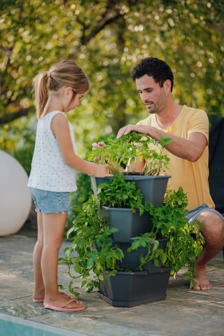 Plantentoren - Aardappels - 4 hoogtes.