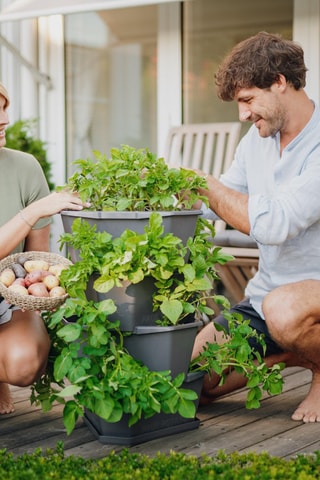 Plantentoren - Aardappels - 4 hoogtes.