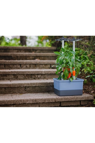 Set Zaaigoed - Peper