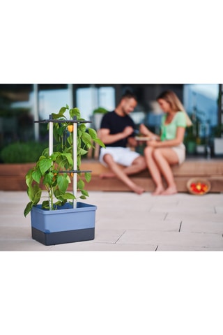 Set Zaaigoed - Peper