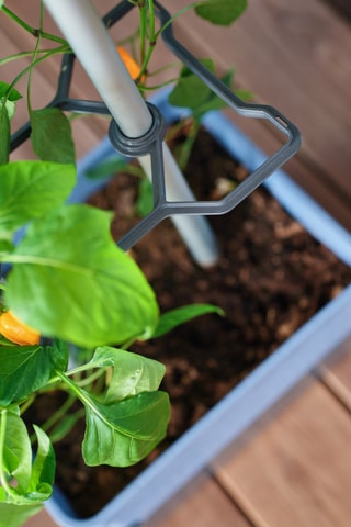 Set Zaaigoed - Peper