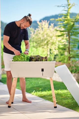 Verhoogde Moestuin - 79 x 37,5 x 95 cm