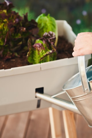 Verhoogde Moestuin - 79 x 37,5 x 95 cm