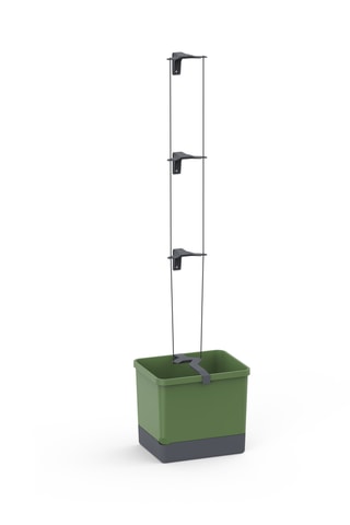 Set Zaaigoed - Komkommer