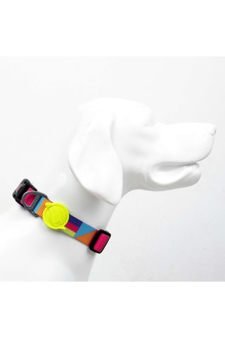 Coleira para cão - Multicor