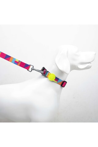 Coleira para cão - Multicor