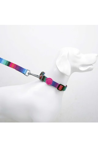 Colar - Rosa e verde