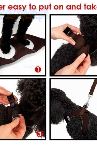 Arnês acolchoado para cão