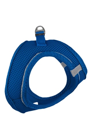 Arnês acolchoado para cão