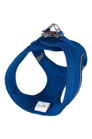 Arnês acolchoado para cão