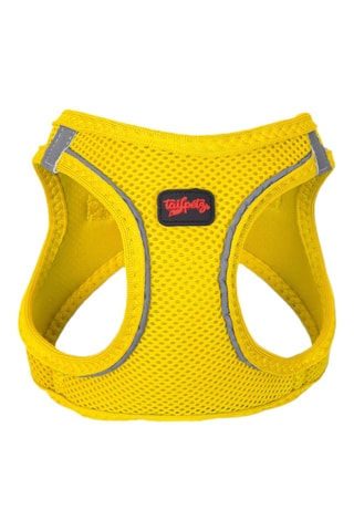 Arnês acolchoado para cão