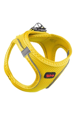 Arnês acolchoado para cão