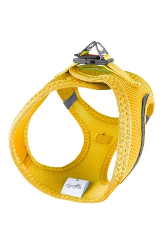 Arnês acolchoado para cão