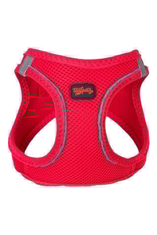 Arnês acolchoado para cão