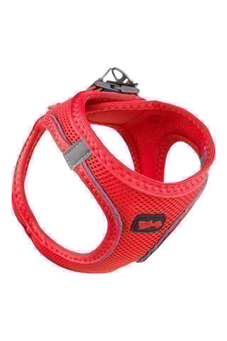 Arnês acolchoado para cão