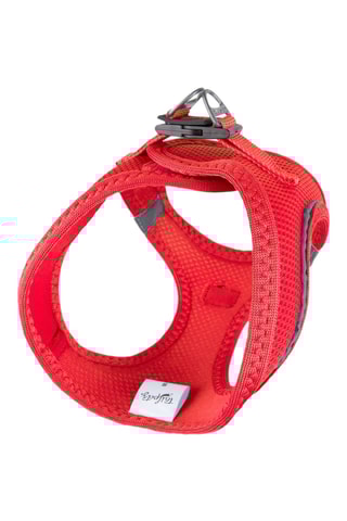 Arnês acolchoado para cão