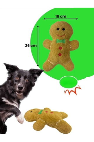 Brinquedo para cão - 26 x 18 cm