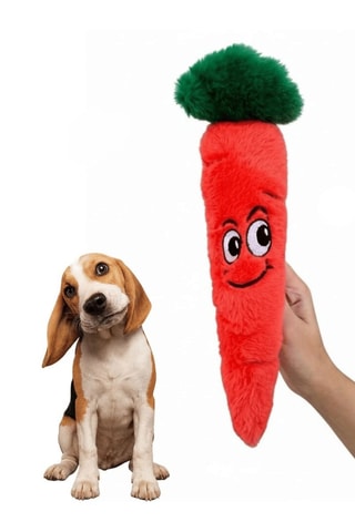 Brinquedo para cão - 30 x 8 cm - Laranja