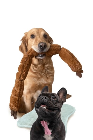 Brinquedo para cão - 65 cm