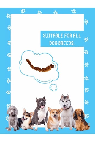 Brinquedo para cão - 65 cm