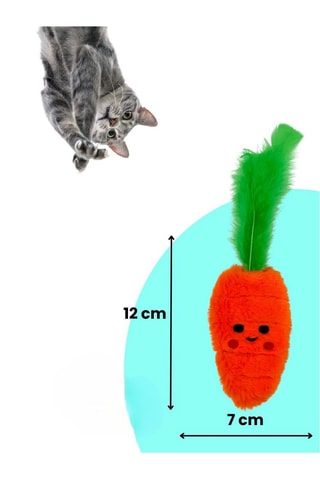 2 brinquedos para gato - 2 peças de 20 x 9 cm