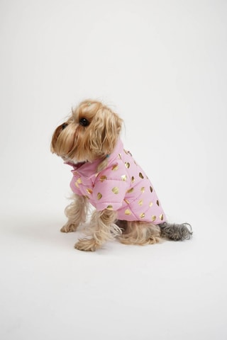 Casaco acolchoado para cão - Rosa