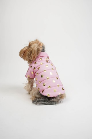 Casaco acolchoado para cão - Rosa