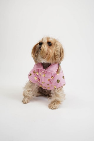 Casaco acolchoado para cão - Rosa