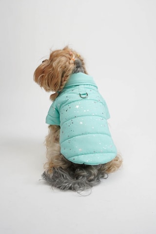 Casaco acolchoado para cão - Azul,