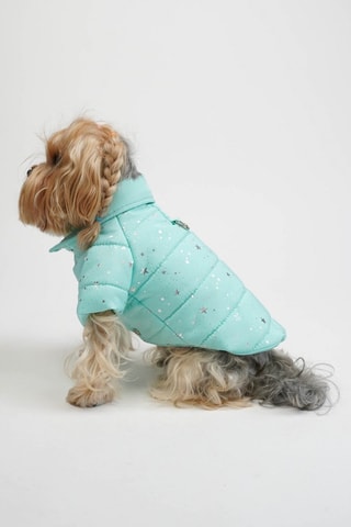 Casaco acolchoado para cão - Azul,