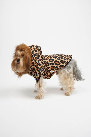 Casaco para cão - Castanho