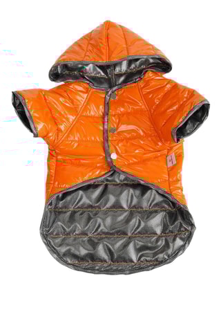 Casaco acolchoado com capuz para cão - Laranja