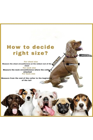 Casaco acolchoado com capuz para cão - Laranja