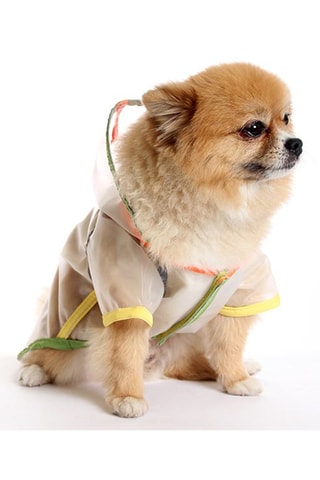 Impermeável com capuz para cão - Branco