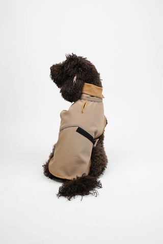 Casaco para cão - Bege