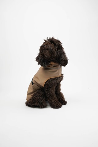 Casaco para cão - Bege