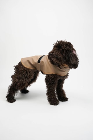 Casaco para cão - Bege