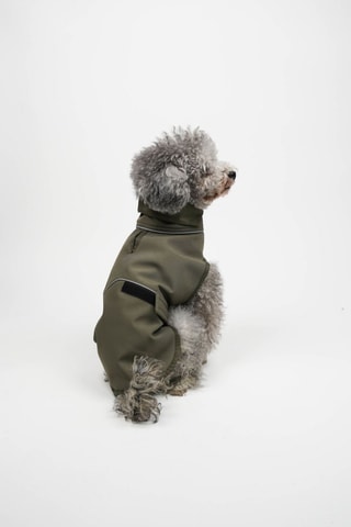 Casaco para cão - Caqui
